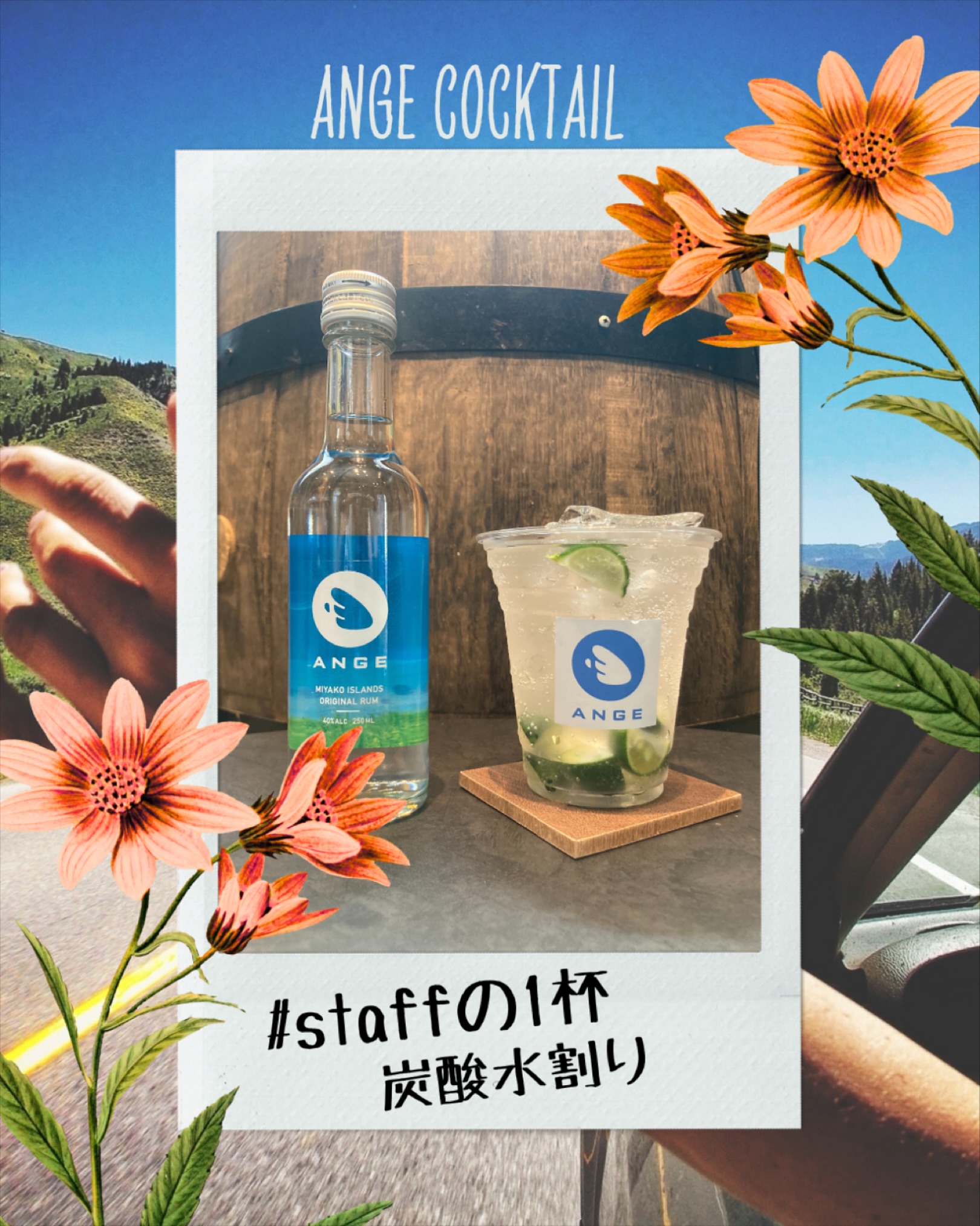 🍸
プロの一杯に続く、スタッフの一杯🥂 宮古島ラム「ANGE(アンジュ)」の楽しみ方は、 プロと考えた華やかなレシピもあれば、 スタッフが日常で楽しんでいる、シンプルな一杯もあります。 どちらのスタイルにも寄り添える自由なお酒です🪽 今回はスタッフの一杯をご紹介します❤️
.
🍹炭酸水割り🍹 🧂材料 ANGEホワイトラム ✖️ 炭酸水 ✖️ 氷 （お好みでライムなど🍋‍🟩※写真はシークワーサー）
.
分量はあえて決めていません。 自分の“ちょうどいい”を見つけて 好きなバランスで楽しんでください🫶
.
💡作り方は、、 💥💥💥注ぐだけ‼️💥💥💥 手間ゼロなのに、ちゃんとおいしい😋
すっきり爽やかで飲みやすい😋 ラムの香りがふんわり広がる
上質なリフレッシュタイム ✨
.
これからもスタッフの“自由な一杯”、 ゆるっとご紹介していきます！ お楽しみに🎵
.
////////////////////////////
MIYAKO ISLANDS
ORIGINAL RUM
・・ANGE・・
////////////////////////////
.
ぜひアカウントフォローをよろしくおねがいします❣️
.
#SAHIRAスピリッツ製造所 #ANGE #RUM #ラム #沖縄 #宮古島お土産 #宮古島カクテル #宮古島 #miyako #サトウキビ #宮古島ラム #미야코지마 #羽のばしちゃう？#飲み方アレンジ